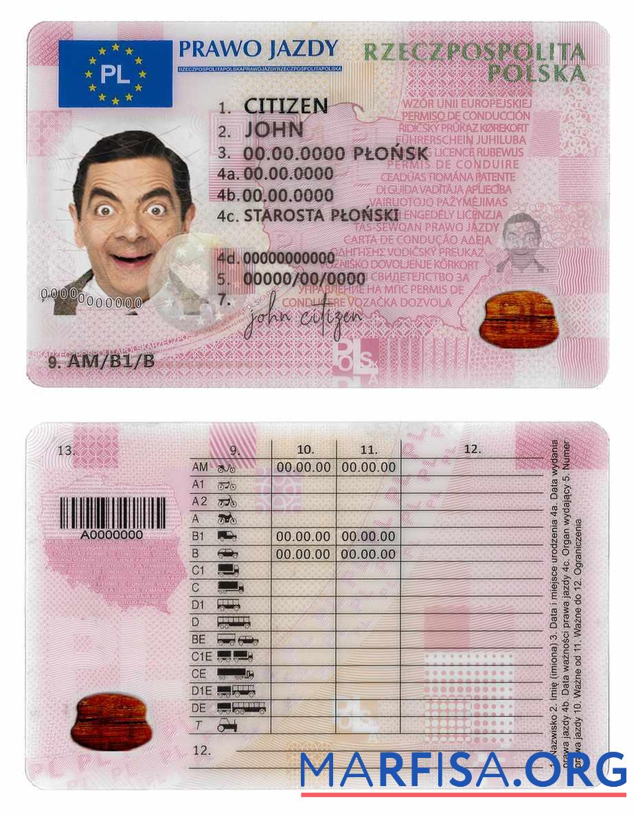 Blank Poland DL 2019 present real example